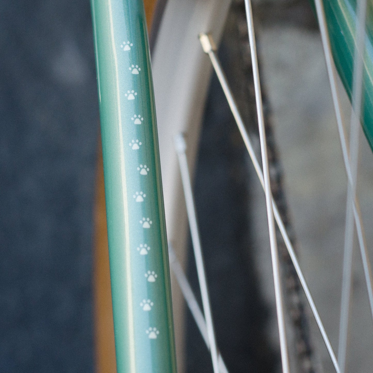 Frame - 47cm Roadini