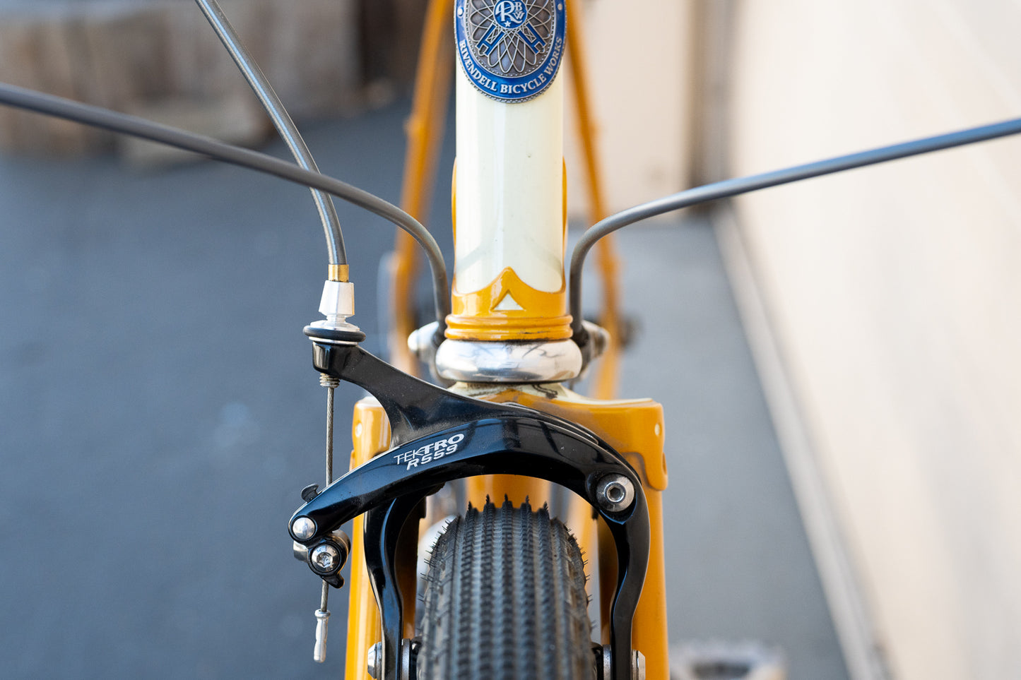 54.5cm A. Homer Hilsen Demo Bike