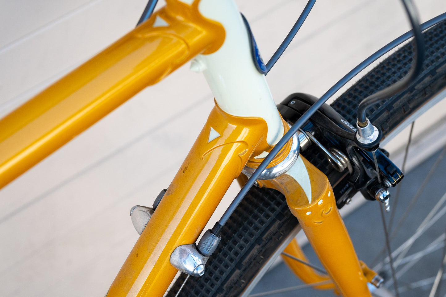 54.5cm A. Homer Hilsen Demo Bike