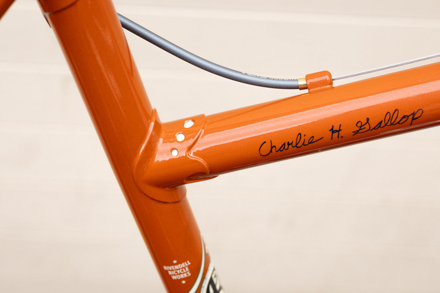 Gallop Build - Antonio's Wavie Bar Package