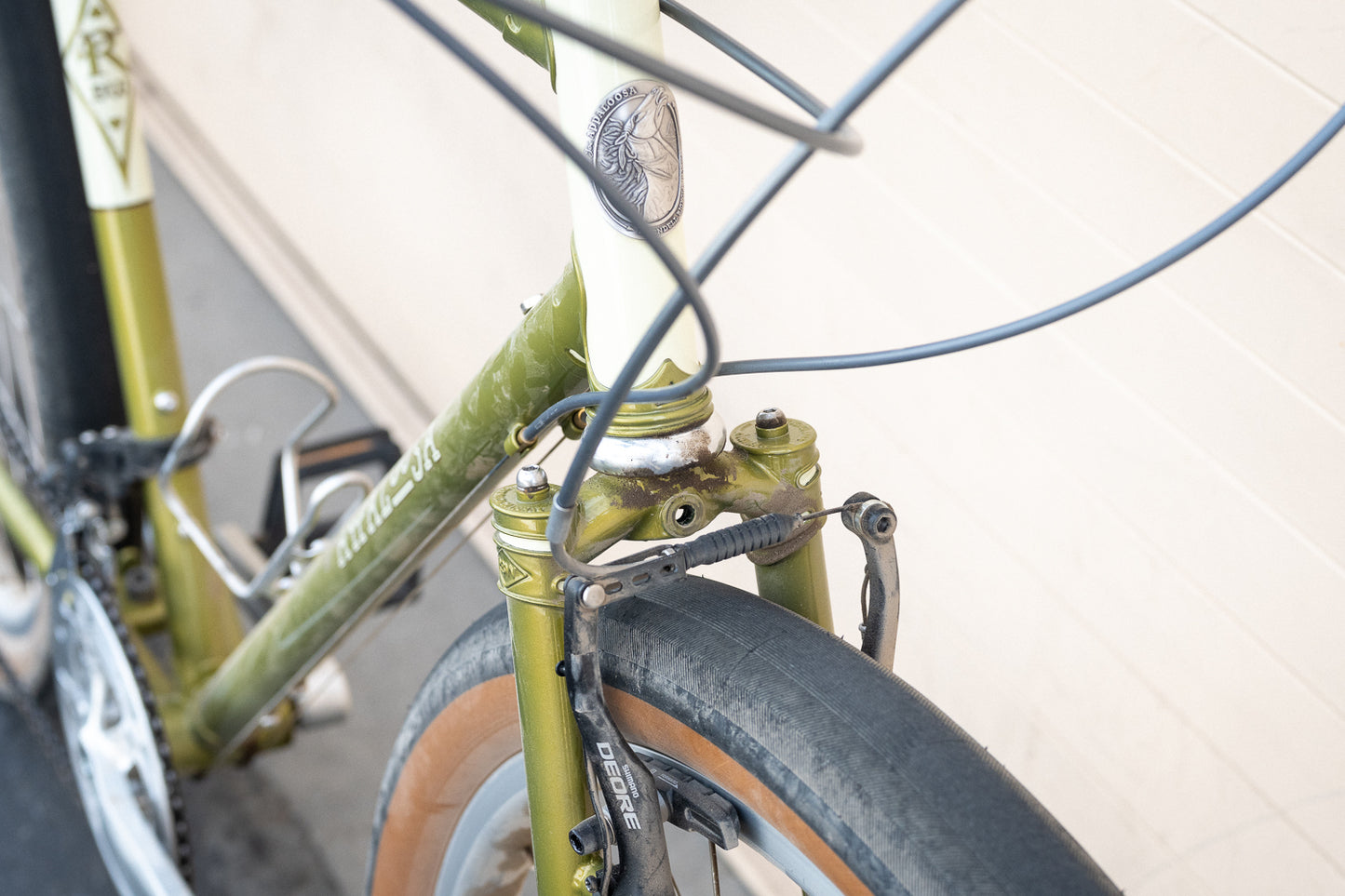 54cm Appaloosa Demo Bike