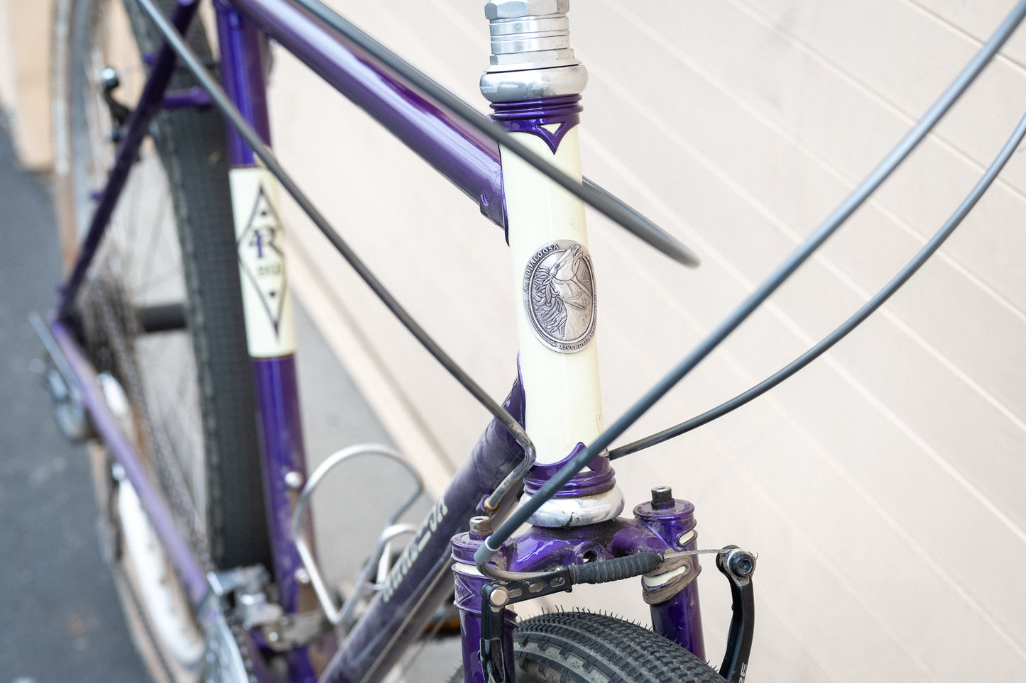 51cm Appaloosa Demo Bike