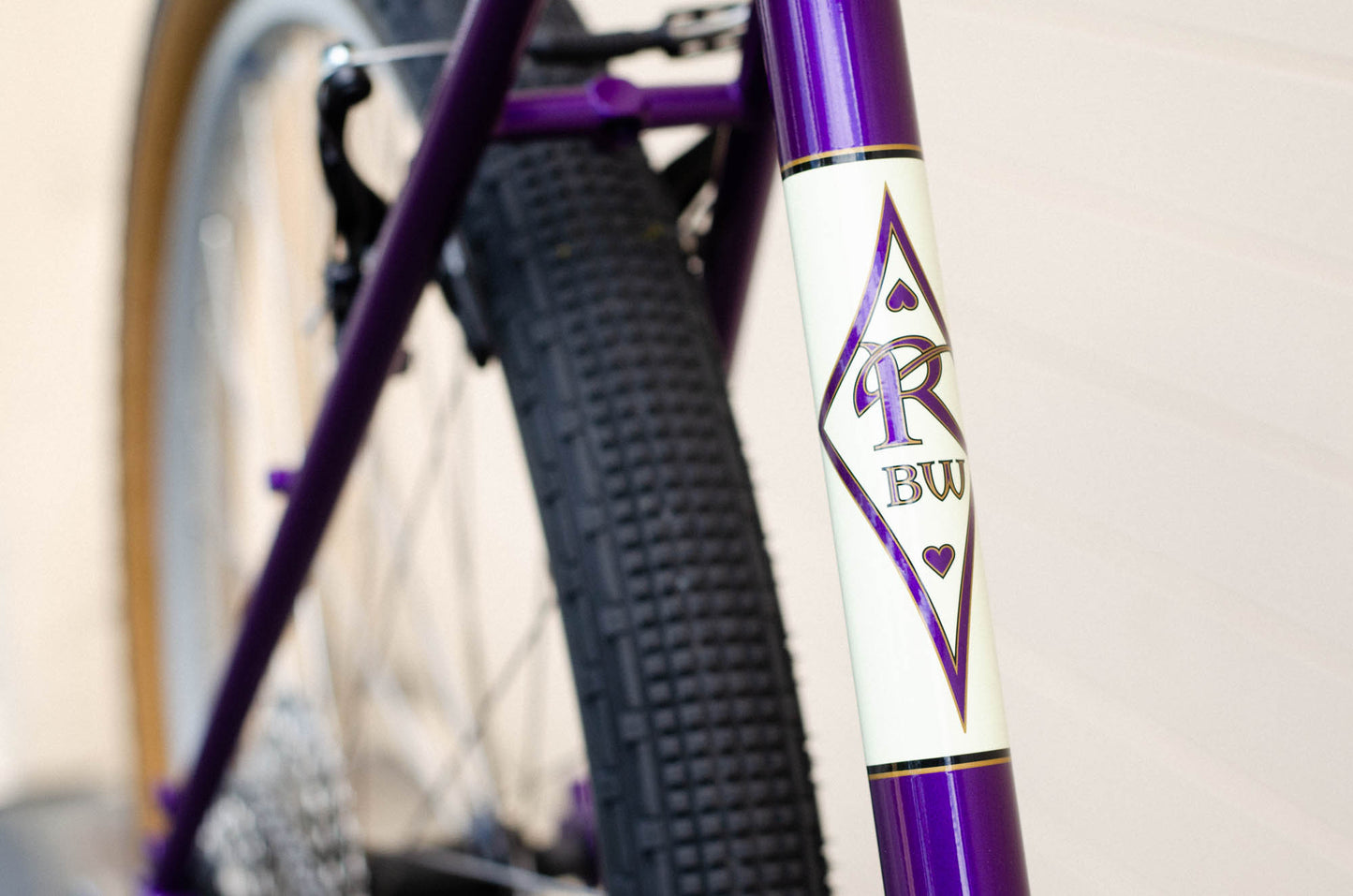 Appaloosa Frameset 2023