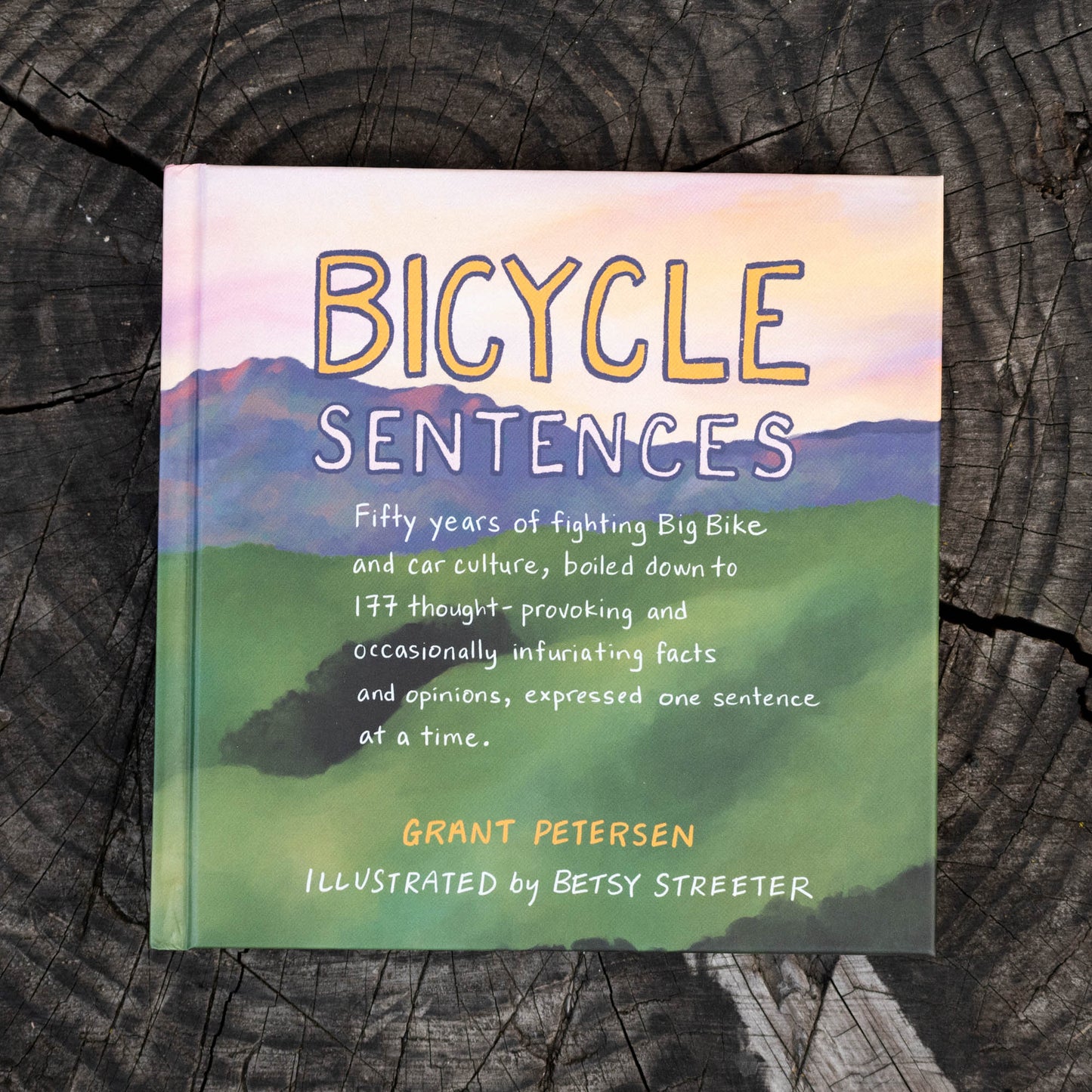 Bicycle Sentences Book