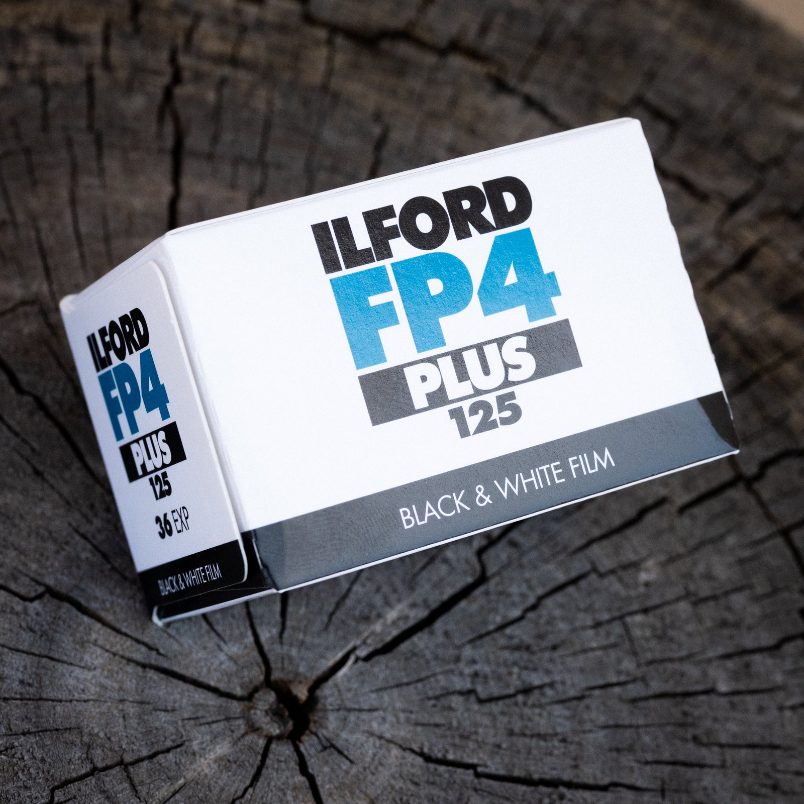 Ilford FP4 - One roll for $10 – Rivendell Bicycle Works