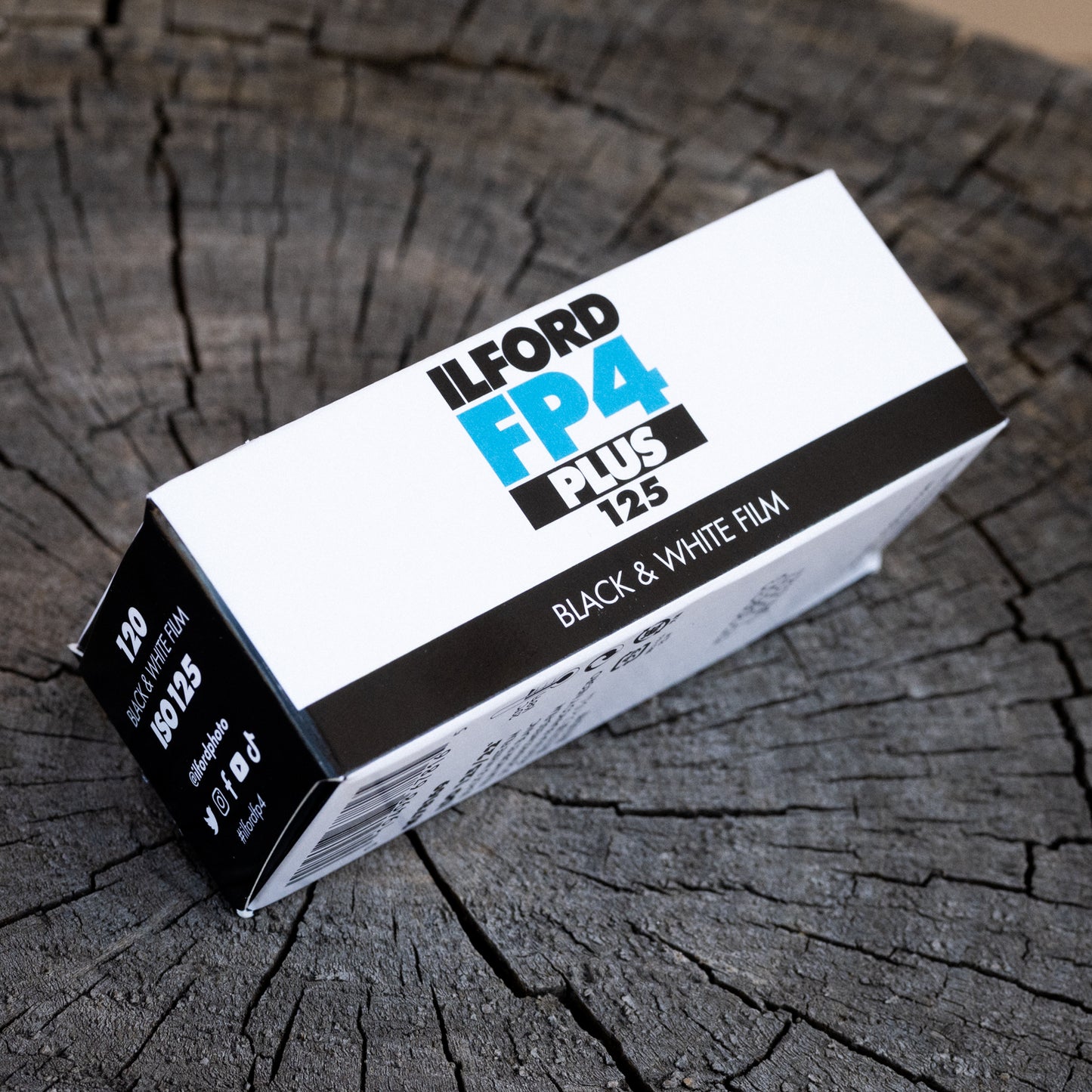 Ilford FP4 - One roll for $10