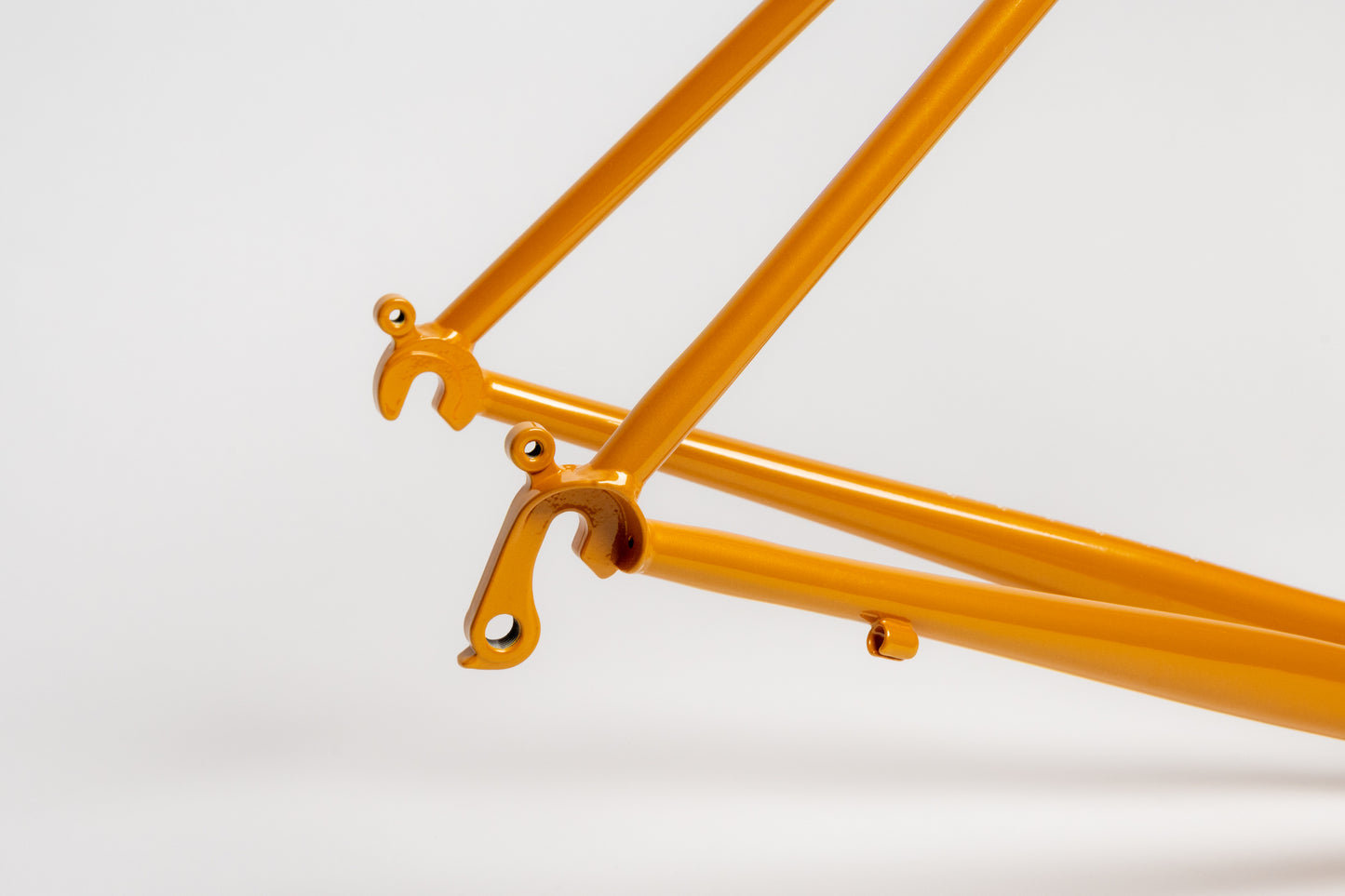 Frame - Lugged Roadini 2025 - Presale 8/24 @ Noon PDT