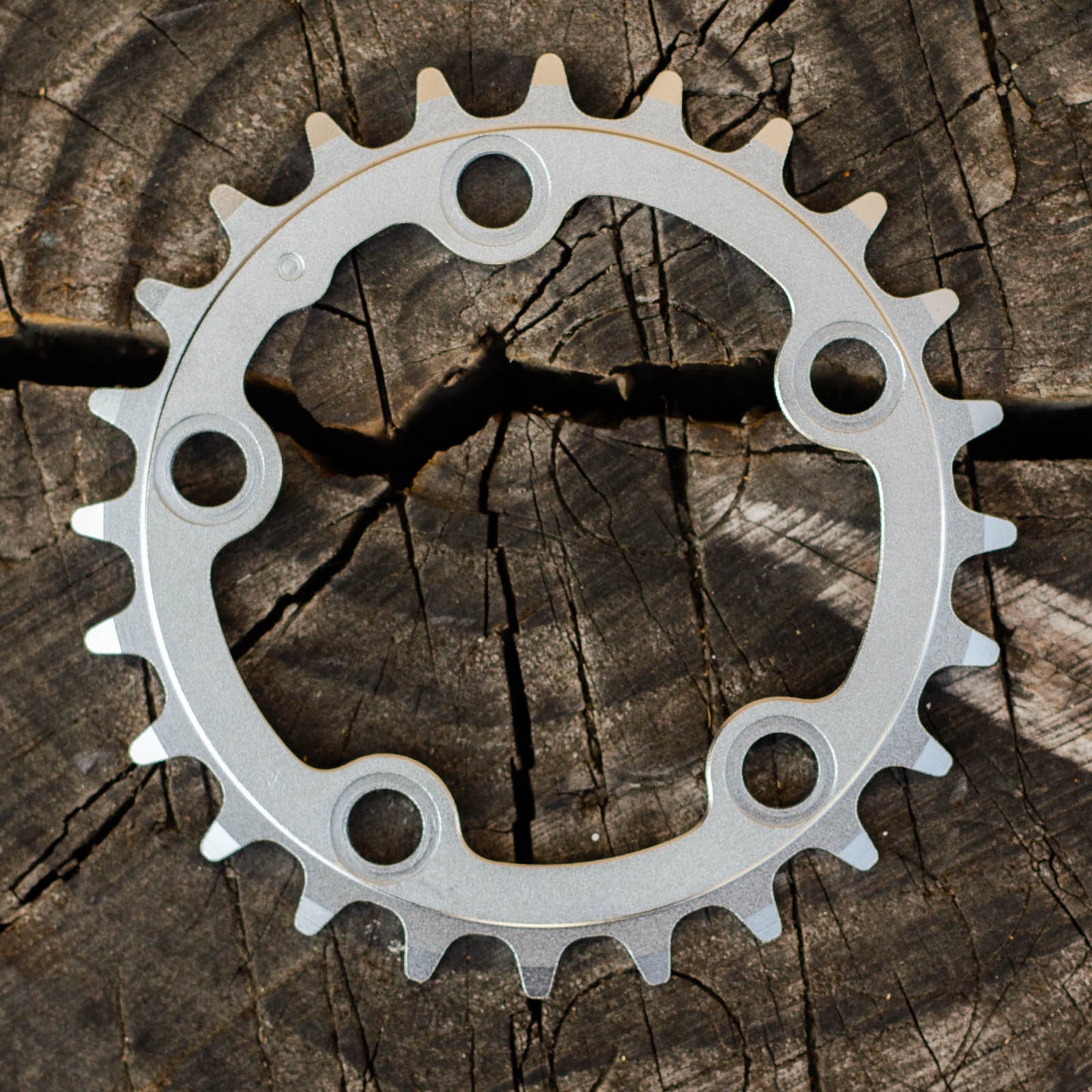 Silver Chainrings