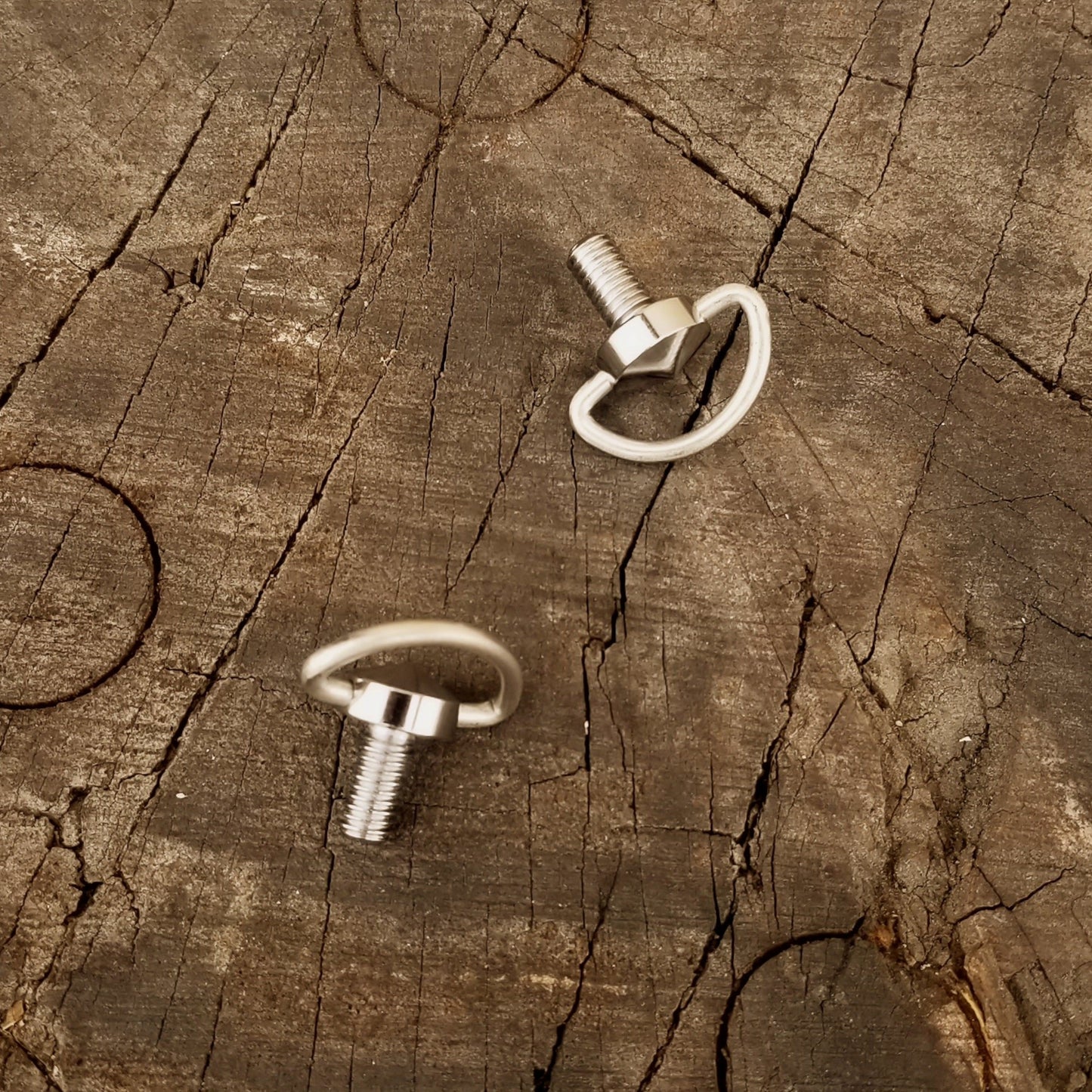 Silver shifter D-ring wingnuts