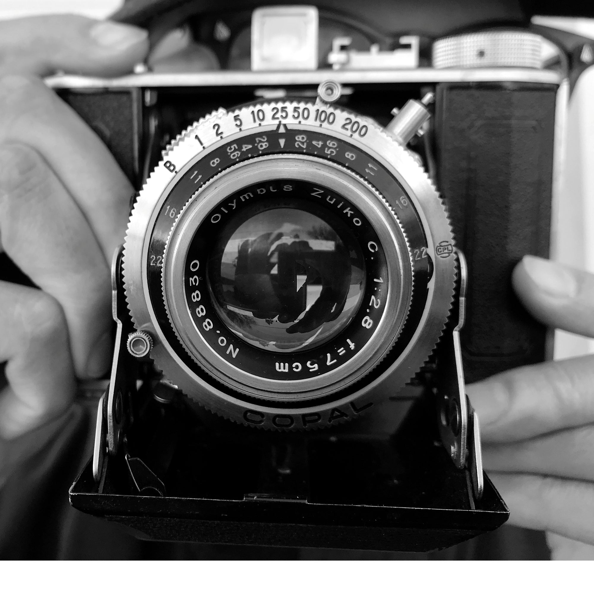 March 12. Platypus, BLUE LUG, armless rider, some great linx, some disorganization