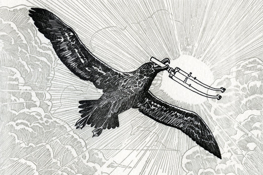 Frame and bicycle weight tricky topics, easily misunderstood