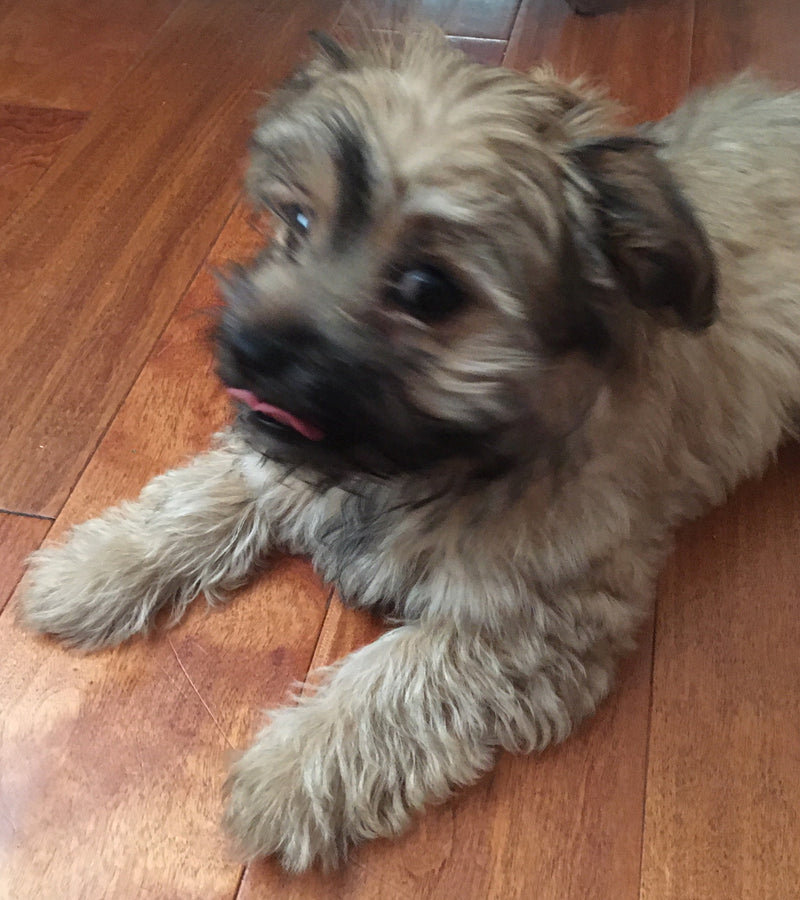 No. 29 or so, MIDNOVEMBER late night update, so if you read it early Tues, give it another pass