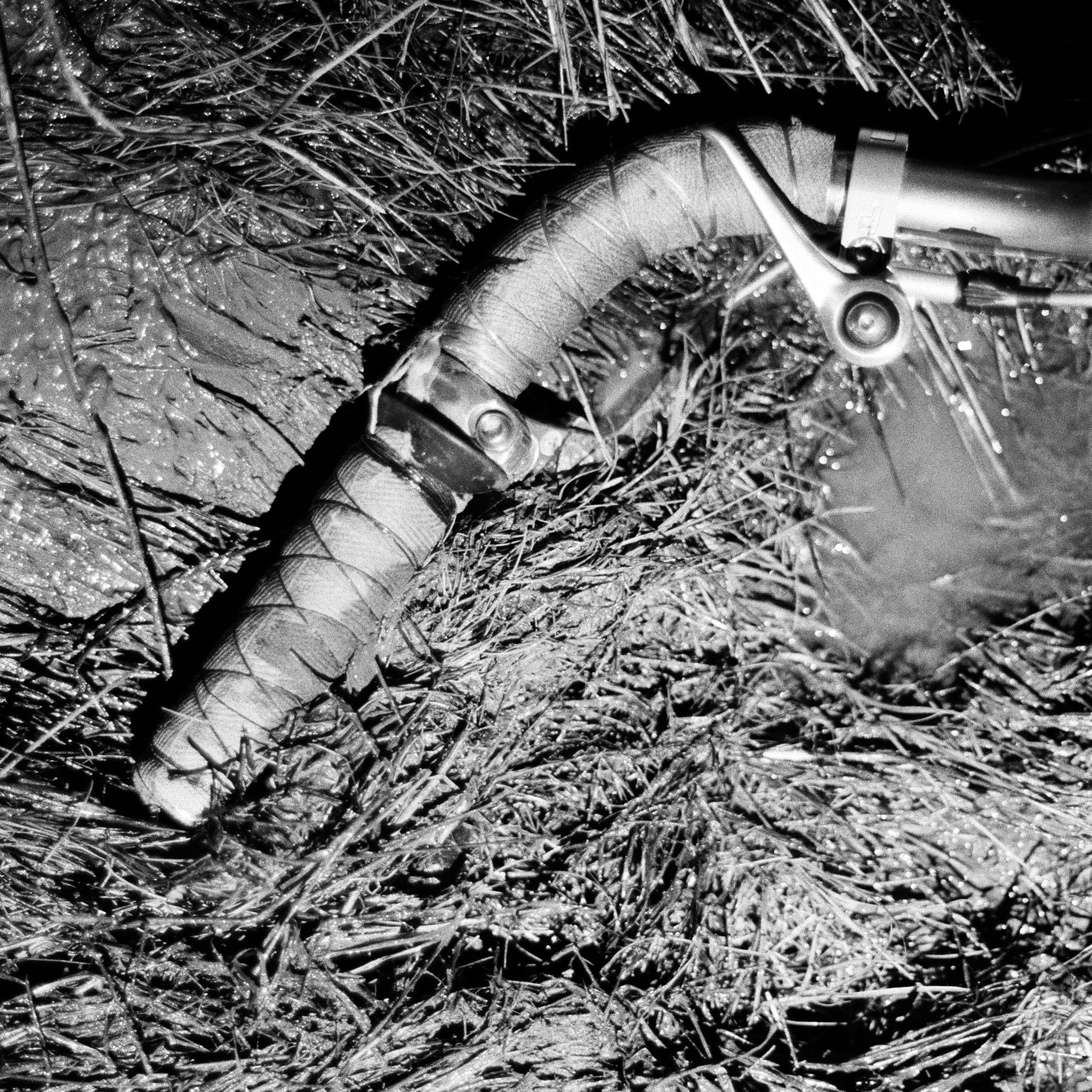 No.7 2019 Late March