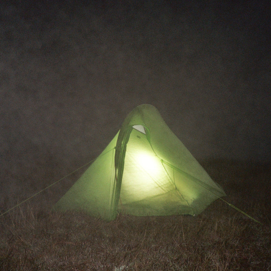 early november mixed up assortment