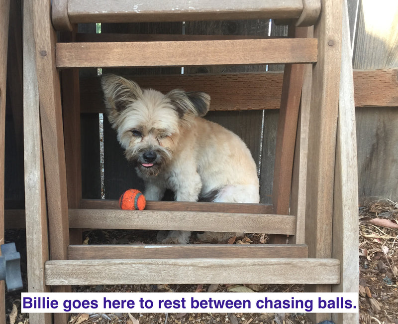 No. 18  Latest October