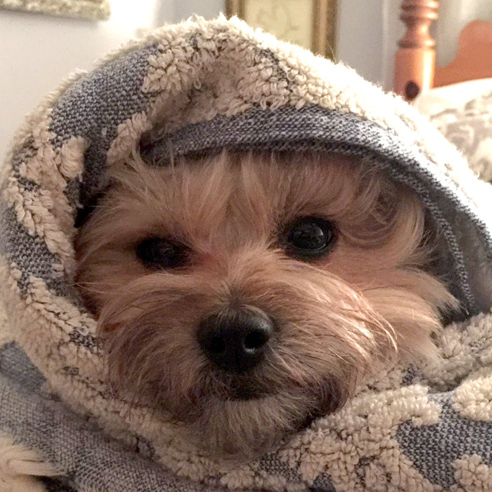 Late March, nothing controversial here