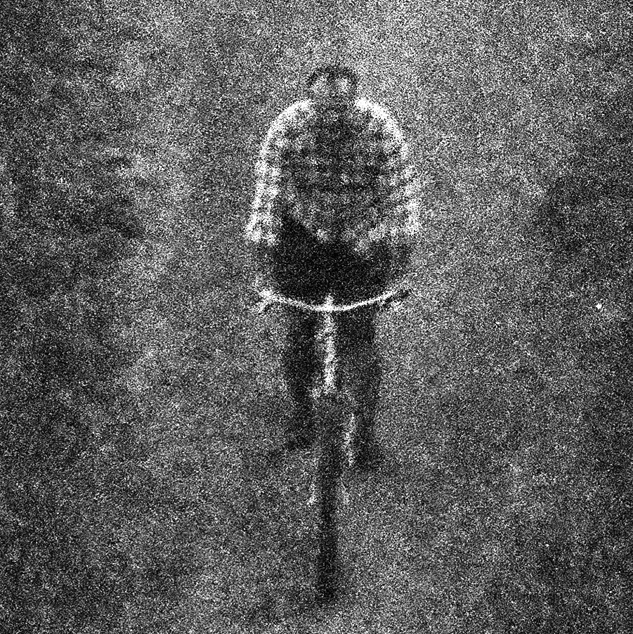 Breast feeding, photography, poem of the week, bike stuff.