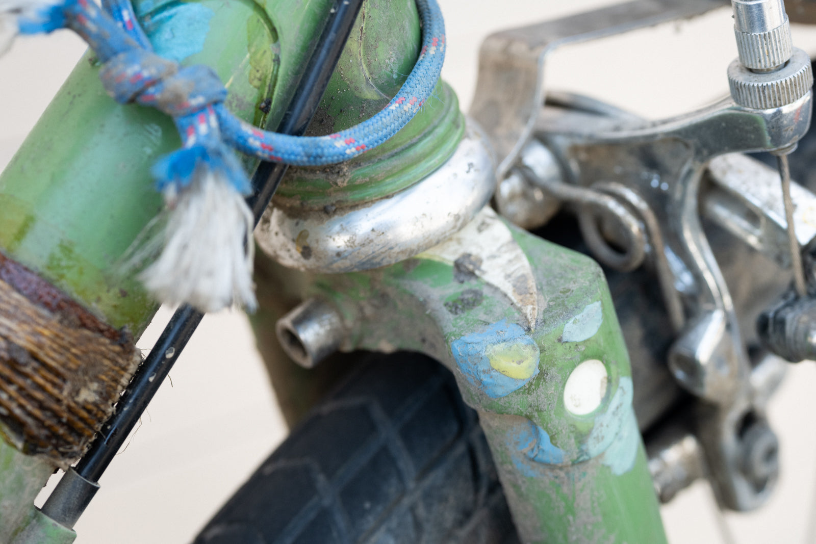 Dominic's 60cm Sam from 2010