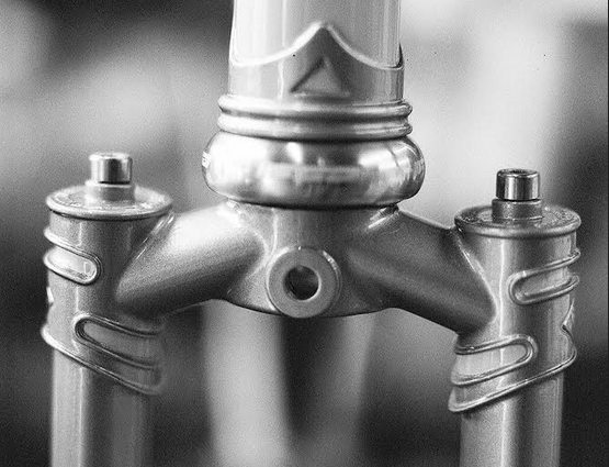 our no. 6 crown on the appaloosa