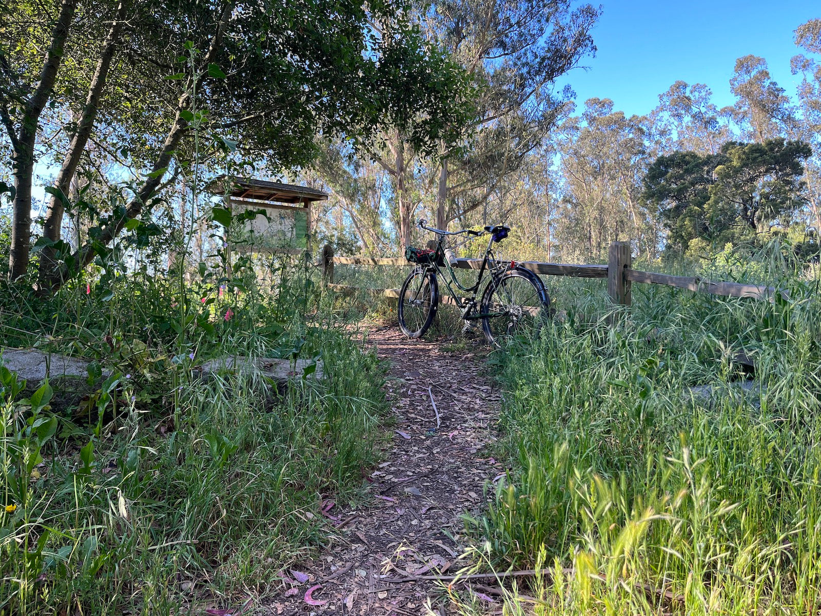BART outage Twin Peaks ride