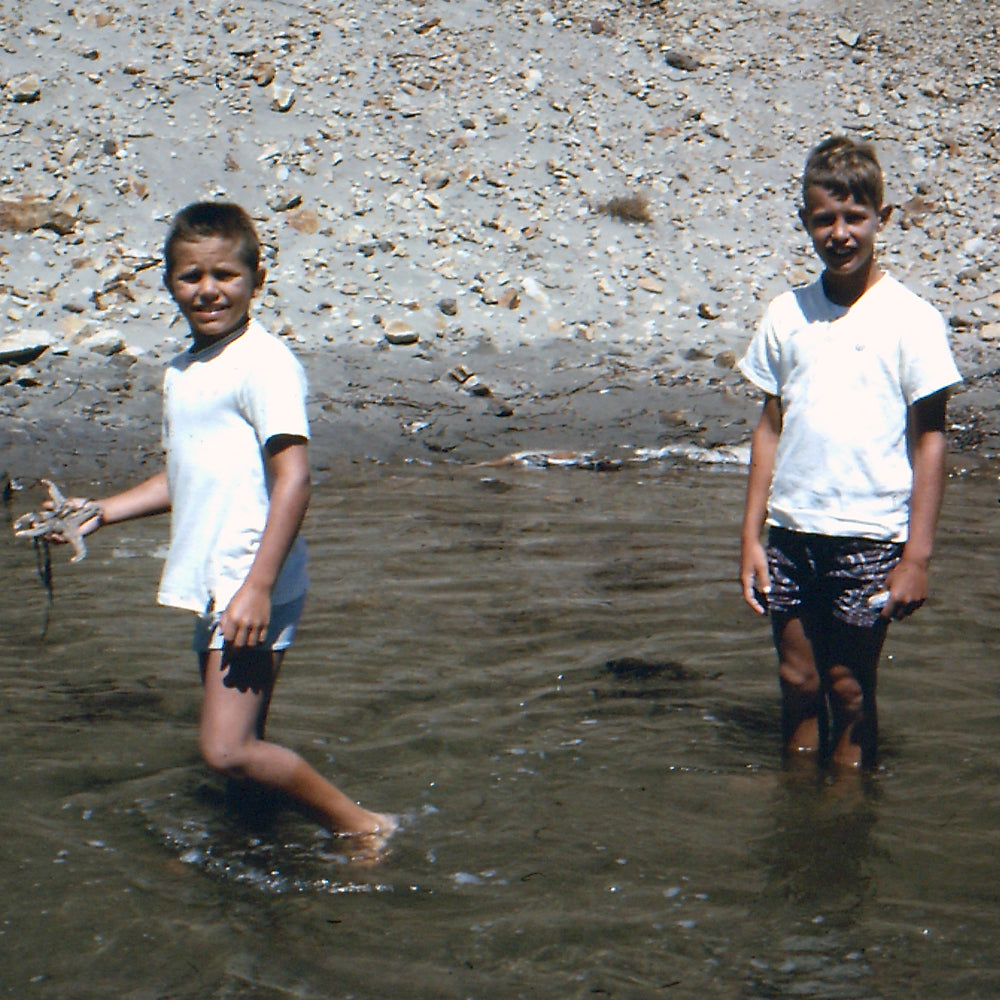 Wed OCT 9 No. 27? Riding like a Mongolian on the Elevator to Nowheresville