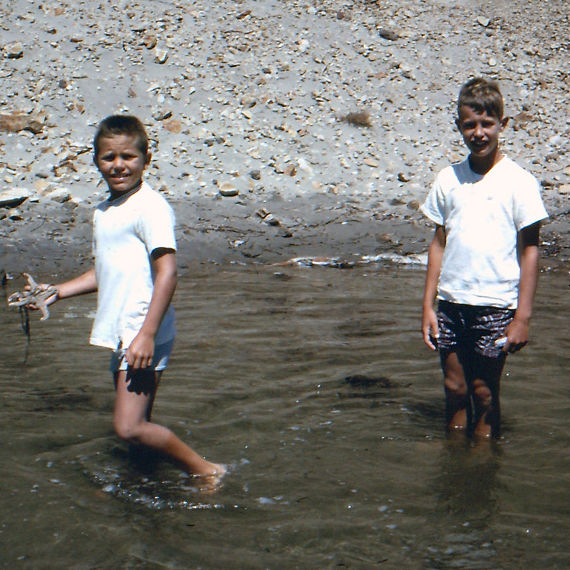 Wed OCT 9 No. 27? Riding like a Mongolian on the Elevator to Nowheresville