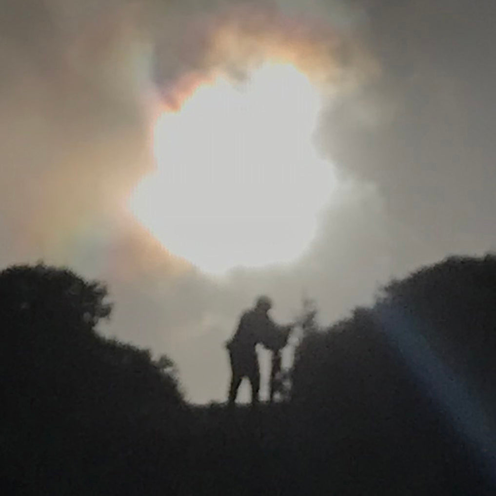 Mid March 2019 No. 8