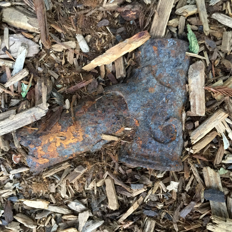 No. 14, mid july,  the usual array. Wool vests, videos, race stuff, aiiye chihuahua