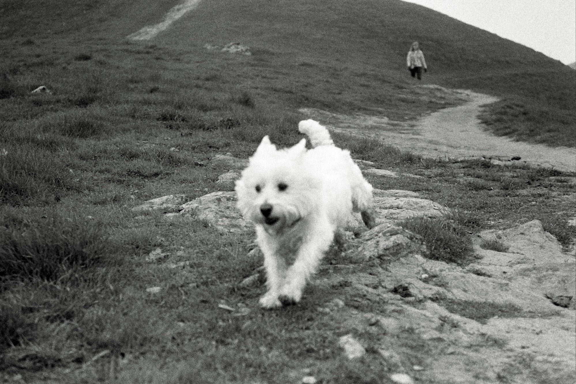 assorted Sat nite April 21. nothing big. variety pack!