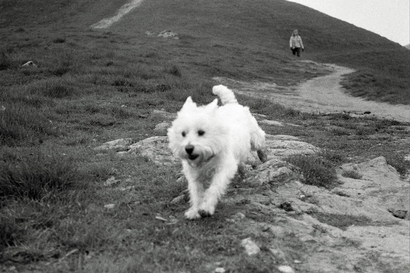 assorted Sat nite April 21. nothing big. variety pack!