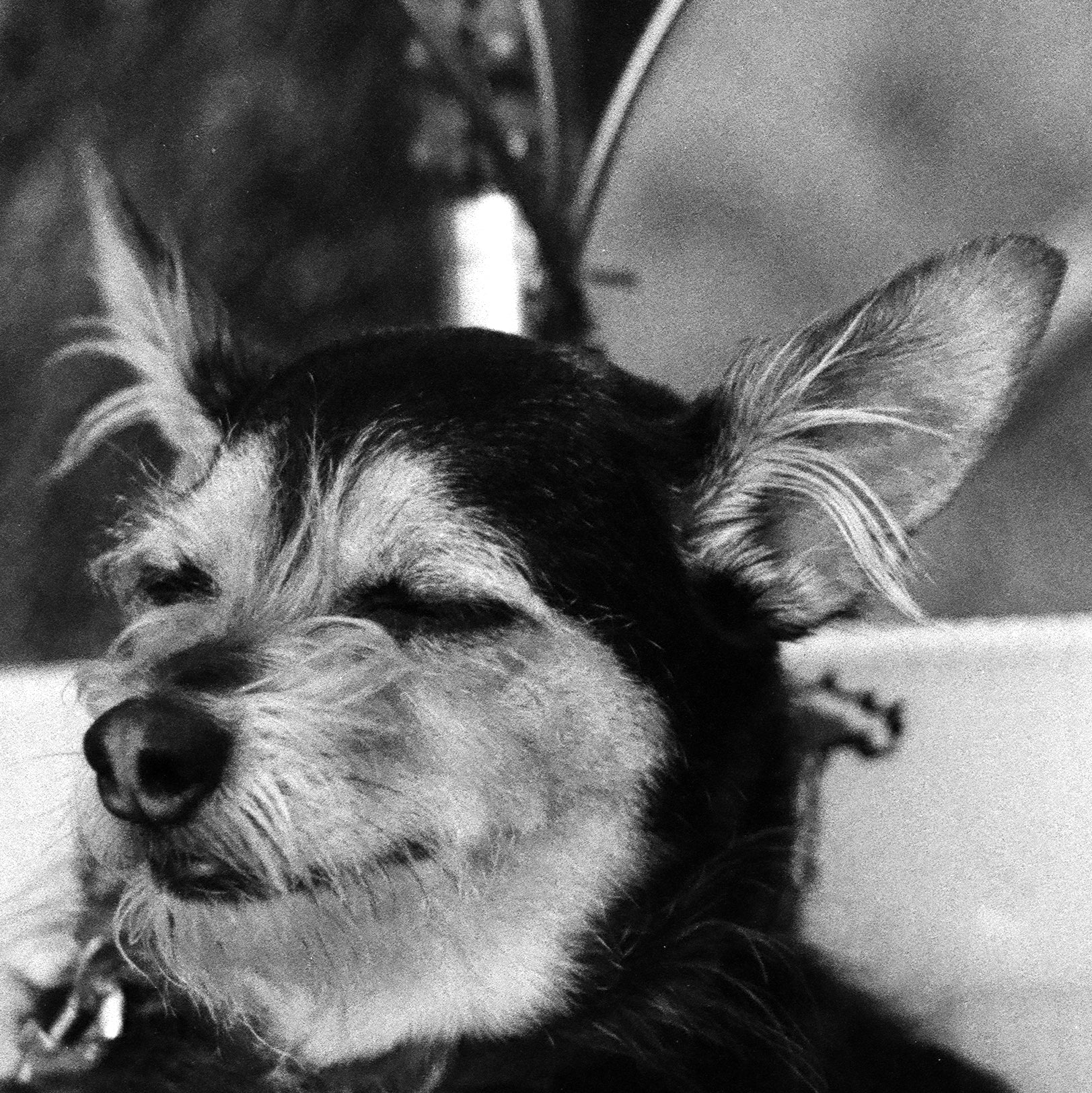 No. 29, October 23..with two photos added on the 24th