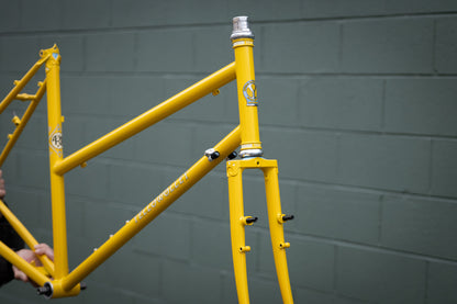 Frame - YelloWolley