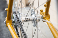 Frame - Roaduno 2024