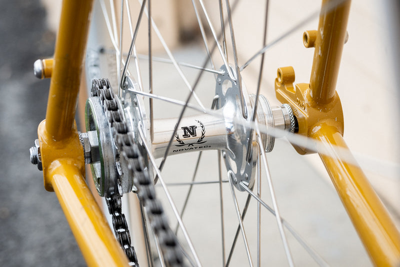 Frame - Roaduno 2024