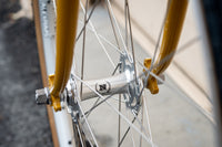 Frame - Roaduno 2024