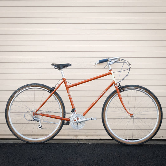 53cm Gallop Web Special - James's Pick