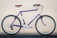 Frame - Appaloosa 2024