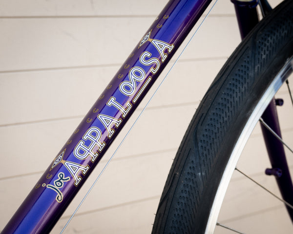 Frame - Appaloosa 2024