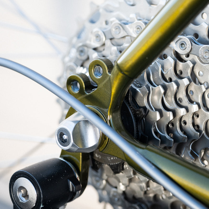 Frame - Sam Hillborne 2024