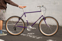 Frame - Appaloosa 2024