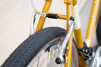 Frame - Sam Hillborne 2025 - Presale