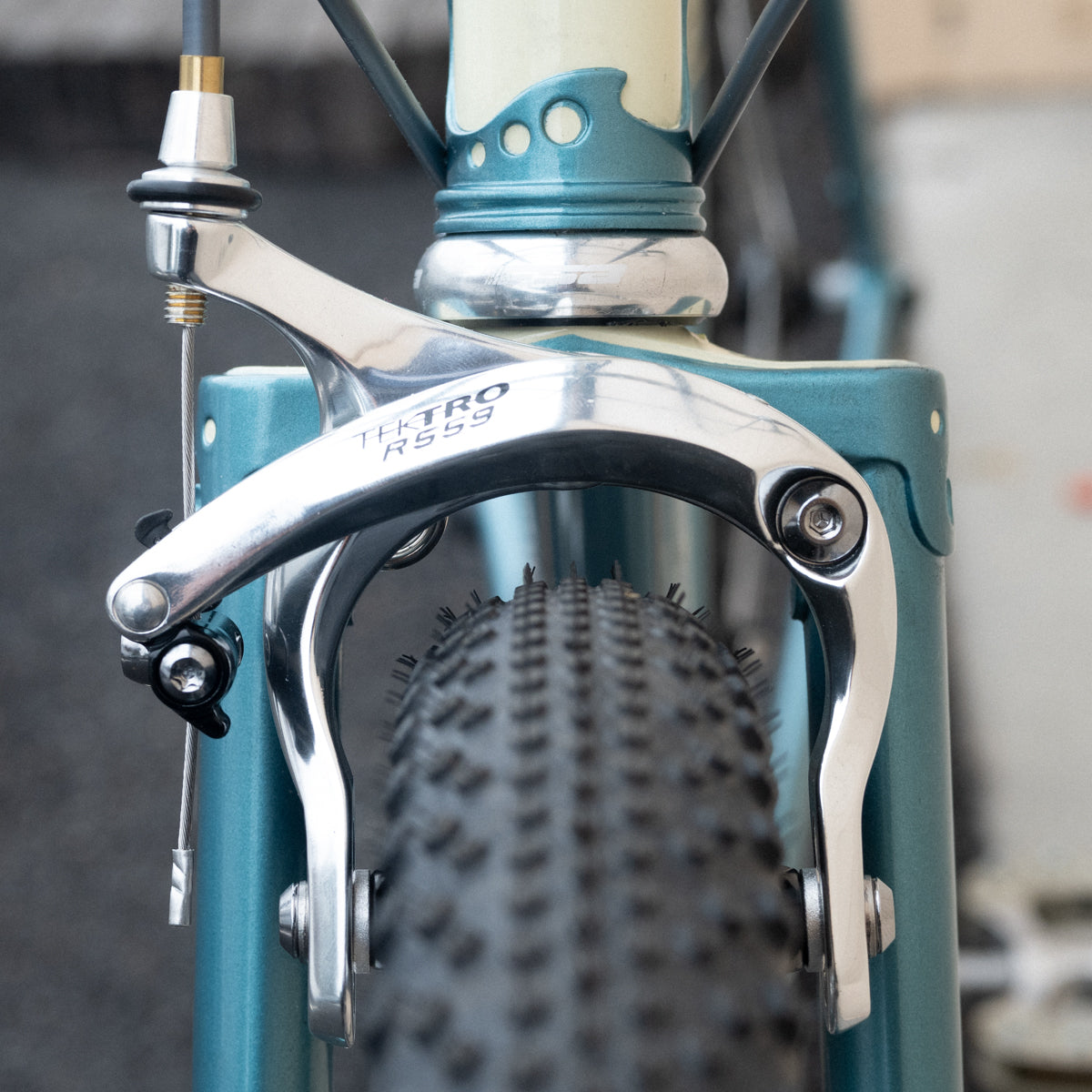 Frame - Charlie Gallop 2024