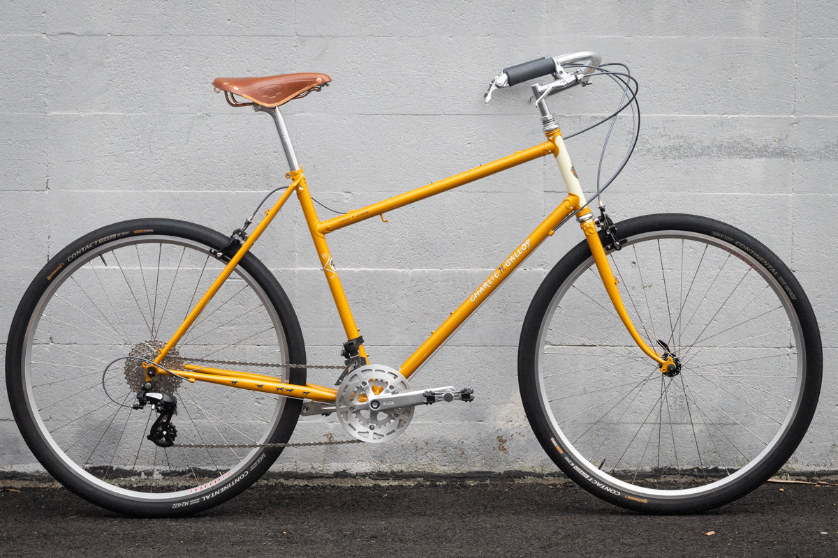 Frame - Charlie Gallop 2024