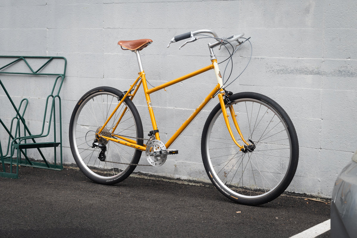 Frame - Charlie Gallop 2024
