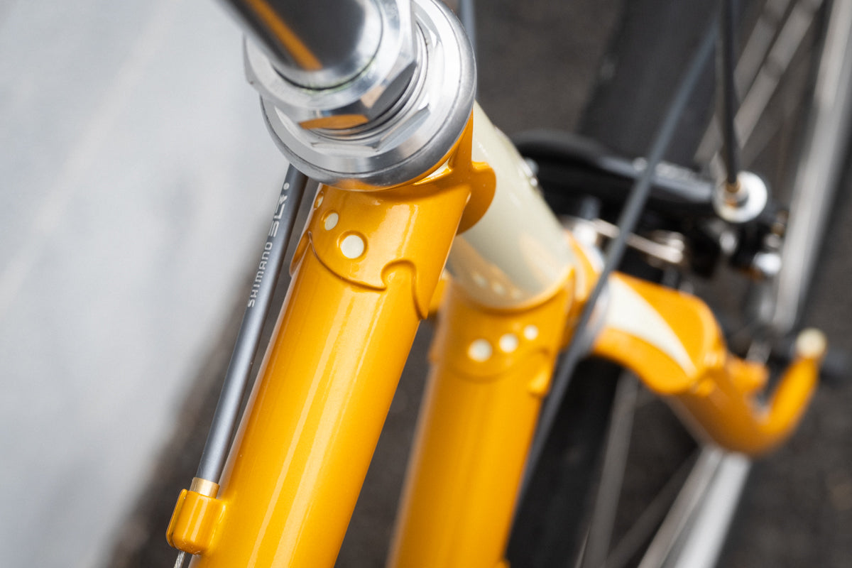 Frame - Charlie Gallop 2024