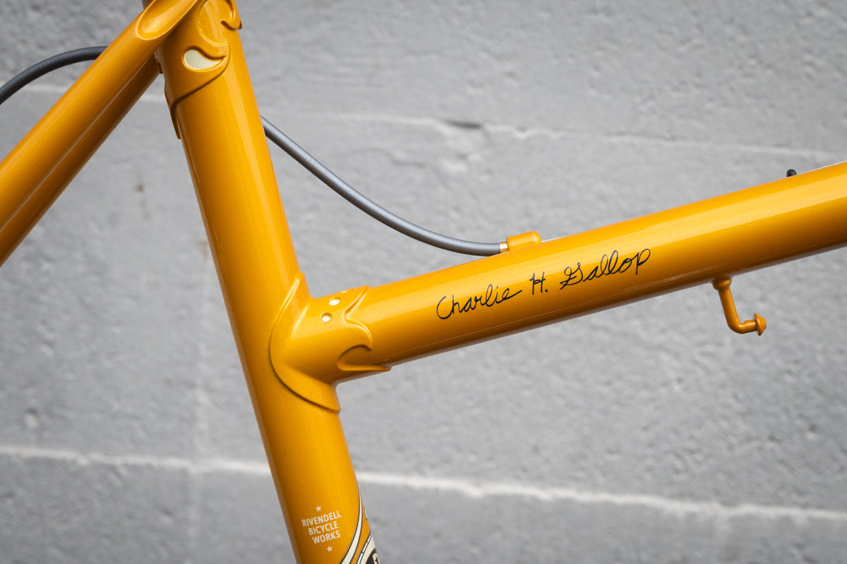 Frame - Charlie Gallop 2024