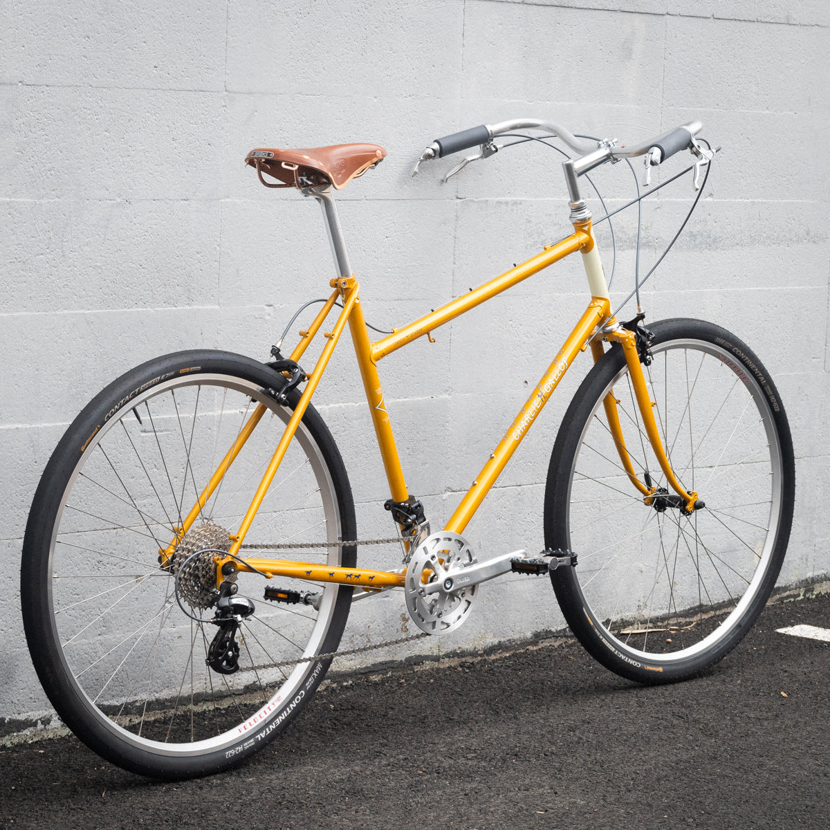 Frame - Charlie Gallop 2024