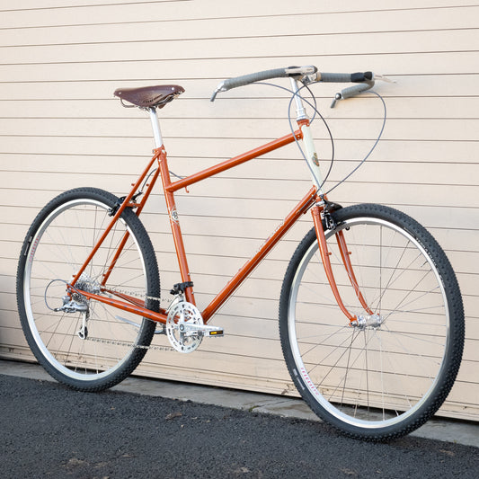 61cm Gallop Web Special - Will's Pick