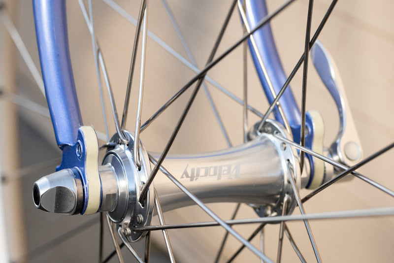 Frame - Sam Hillborne 2024