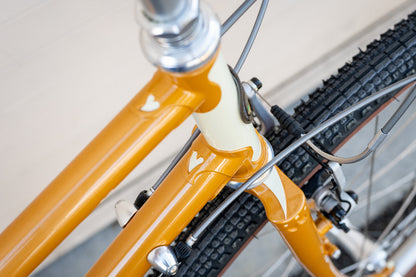 Complete Bike - Platypus 2026 - Presale 10/14 @ noon Pacfic